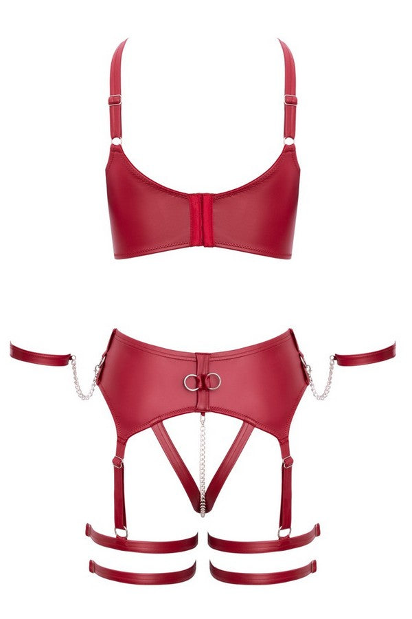Red vinyl harness set
