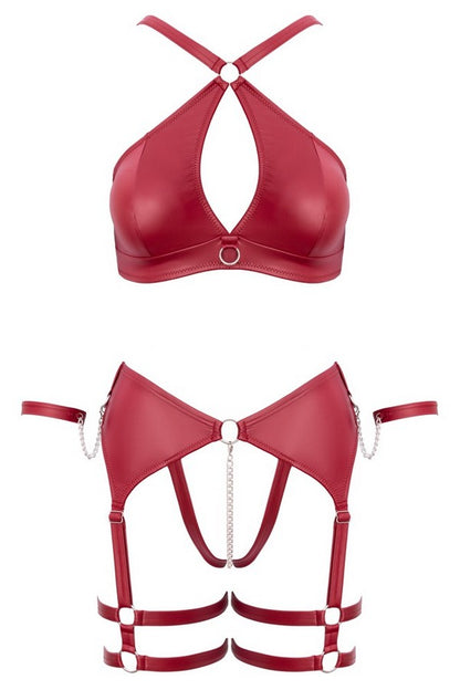 Red vinyl harness set