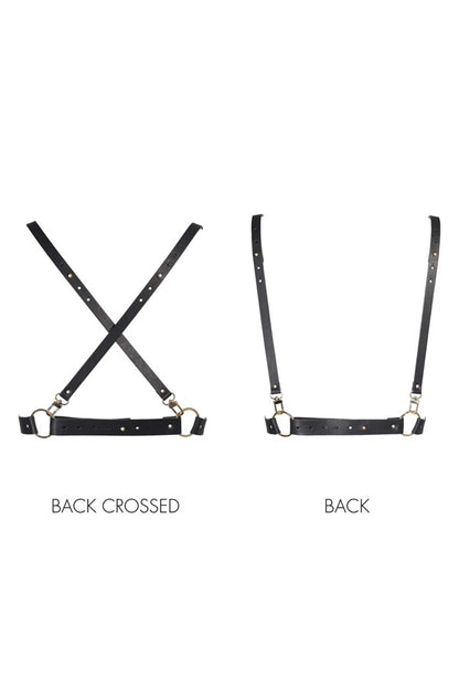 X Maze Harness