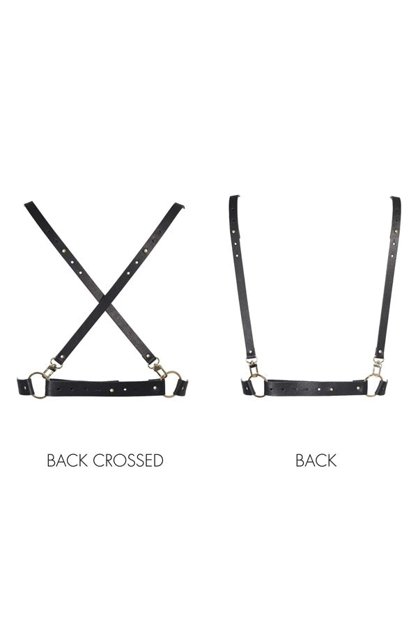 X Maze Harness